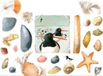 Beach Collage