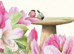 Birdbath Flowers