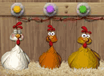 Happy Birthday Chooks