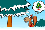 Beaver Timber