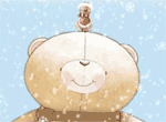 Forever Friends Christmas Robins