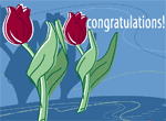 Applauding Tulips