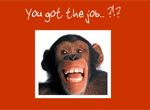 New Job Chimpanzee