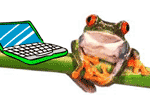 New Job Frogs