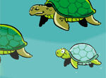 Turtle Family
