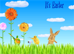 Dancing Bunnies