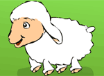 Lamb and Chick