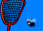 Fly Swat