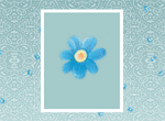 Forgetmenots Bunch