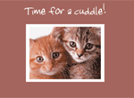 Cuddle Cats