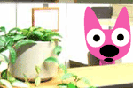 Hoops & Yoyo Office Admin. 