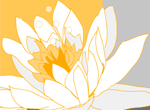 Thinking Of You Flower