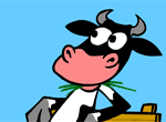 Cow Kisses