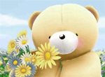 Forever Friends Daisy Field