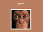 Cute Monkey