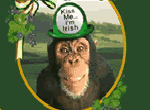 Kiss Me, I'm Irish