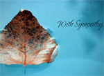 Raindrop Leaf