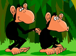 Monkey Scratch